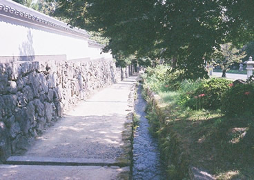 日吉大社への歩道と水路